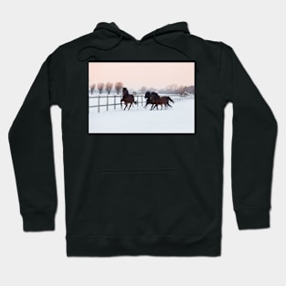 Galloping horses Hoodie